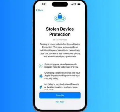 鹤城苹果授权维修店分享被盗设备保护功能开启方法
