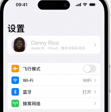 鹤城appleID维修服务iPhone设置中Apple ID显示为灰色无法使用 