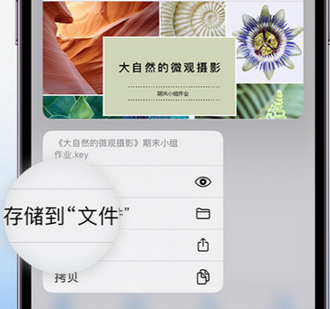 鹤城apple维修中心分享iPhone文件应用中存储和找到下载文件
