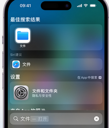 鹤城apple维修中心分享iPhone文件应用中存储和找到下载文件 