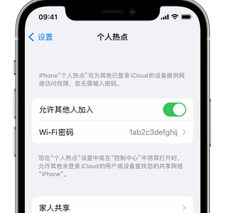 鹤城apple服务站点分享iPhone上个人热点丢失了怎么办 