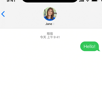 鹤城apple维修iPhone上无法正常发送iMessage信息