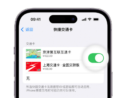 鹤城apple维修点分享iPhone上更换Apple Pay快捷交通卡手绘卡面 