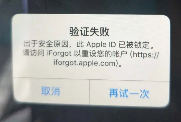 鹤城iPhone维修分享iPhone上正常登录或使用AppleID怎么办 