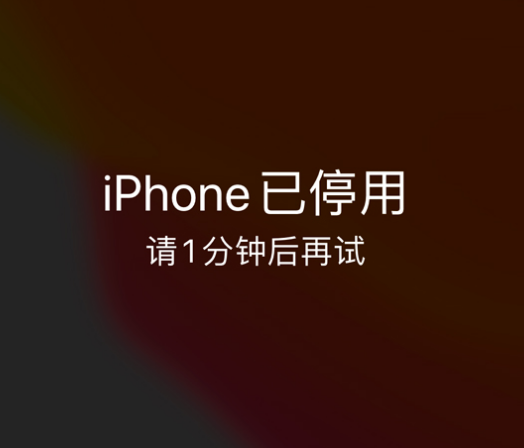 鹤城苹果手机维修分享:iPhone 显示“不可用”或“已停用”怎么办？还能保留数据吗？ 