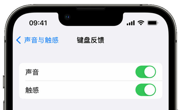 鹤城苹果手机维修分享iPhone 14触感键盘使用方法 