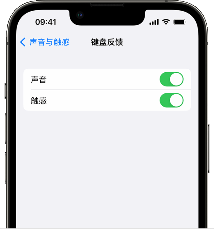 鹤城苹果14维修店分享如何在 iPhone 14 机型中使用触感键盘 