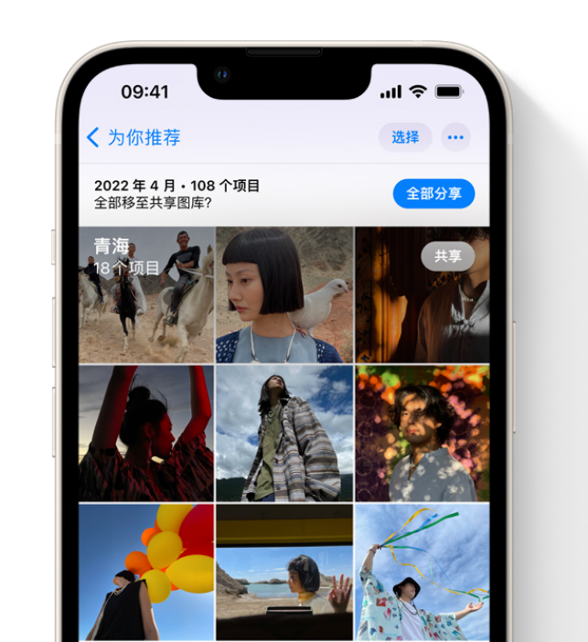 鹤城苹果维修网点分享在 iPhone 上使用共享图库 