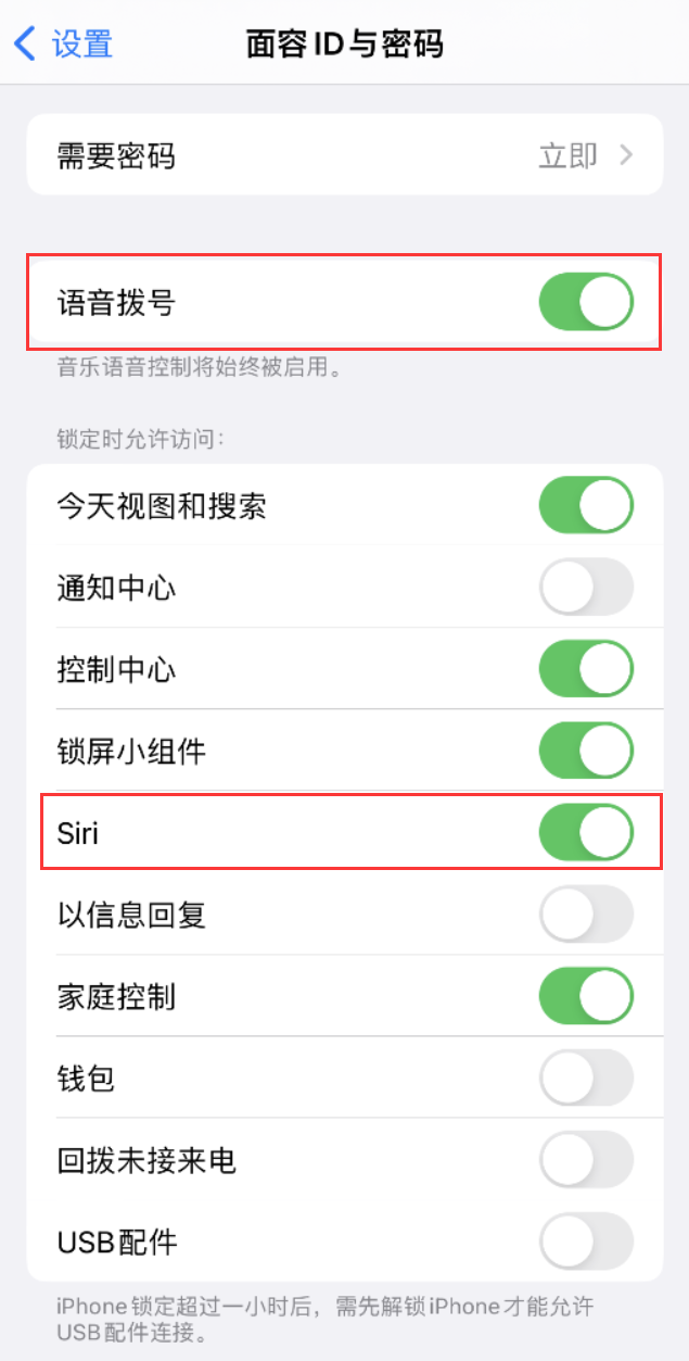 鹤城苹果维修网点分享不解锁 iPhone 的情况下通过 Siri 拨打电话的方法 