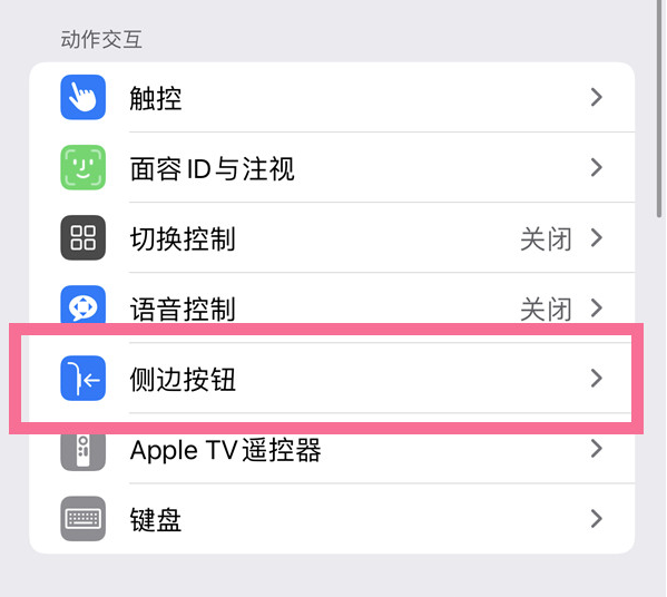 鹤城苹果14维修店分享iPhone14 Plus侧键双击下载功能关闭方法 