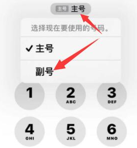 鹤城苹果14维修店分享iPhone 14 Pro Max使用副卡打电话的方法 