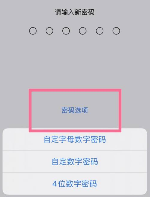 鹤城苹果14维修分享iPhone 14plus设置密码的方法 