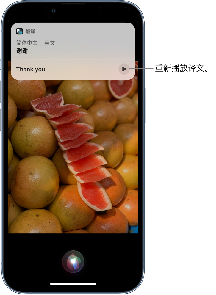 鹤城苹果14维修分享 iPhone 14 机型中使用 Siri：了解 Siri 能帮你做什么 