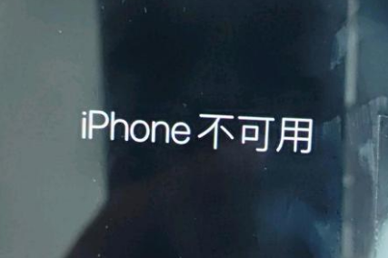 鹤城苹果服务网点分享锁屏界面显示“iPhone 不可用”如何解决 