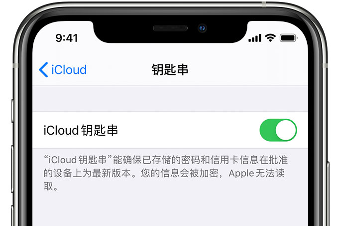 鹤城苹果手机维修分享在 iPhone 上开启 iCloud 钥匙串之后会储存哪些信息 