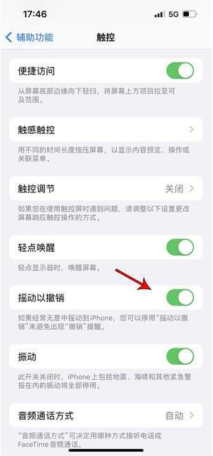 鹤城苹果手机维修分享iPhone手机如何设置摇一摇删除文字 