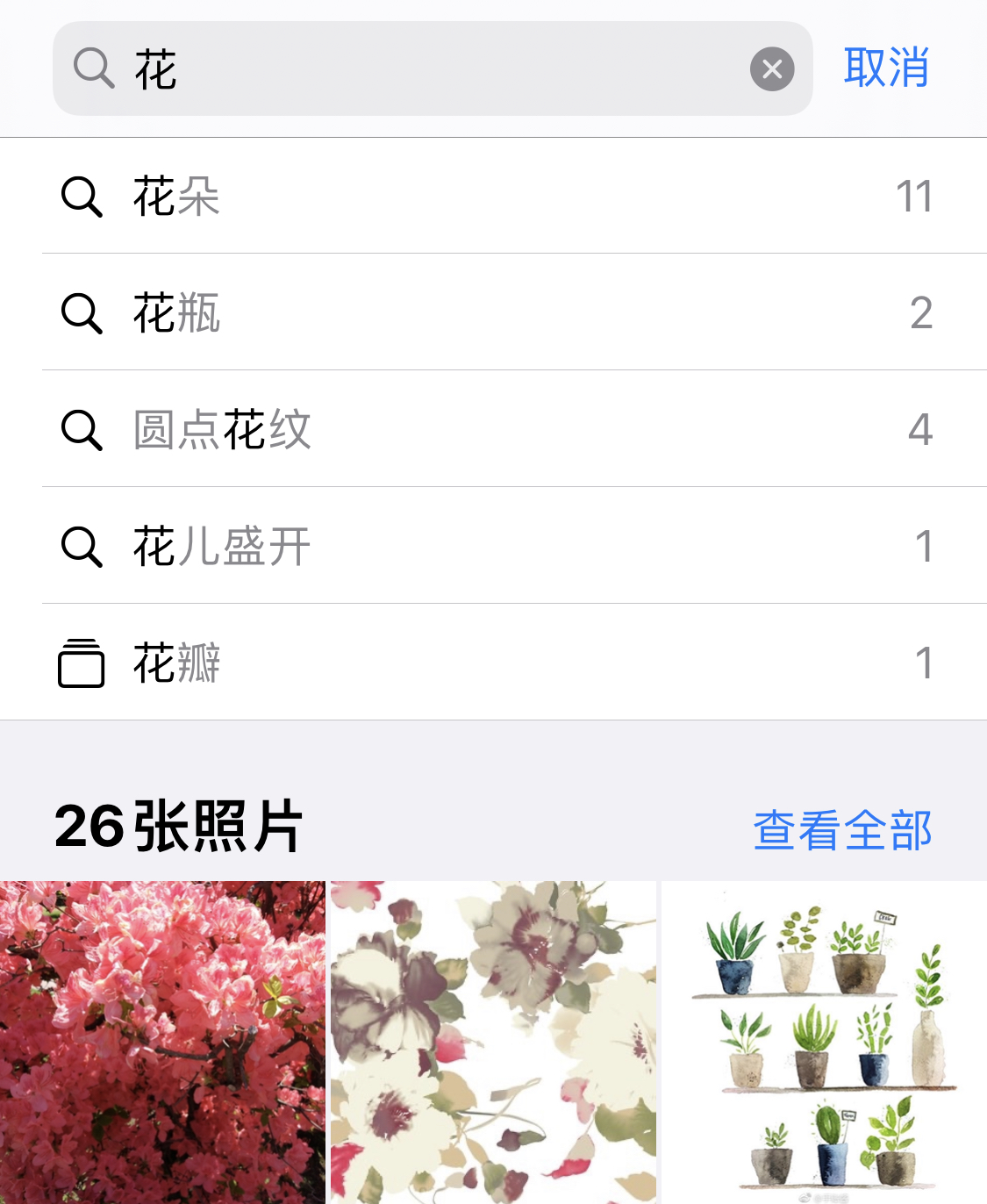 鹤城苹果手机维修分享iPhone 小技巧 