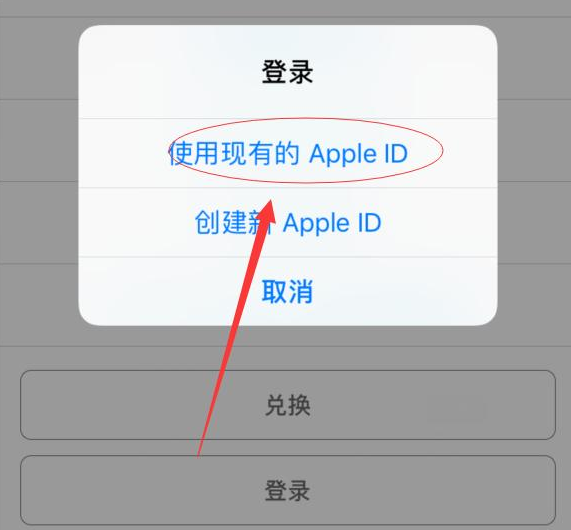 鹤城苹果手机维修分享两台iPhone设备可以同时登录一个Apple ID吗 