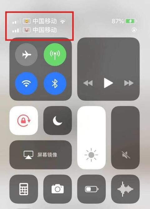 鹤城苹果手机维修分享为 iPhone 12 双卡设置标签 