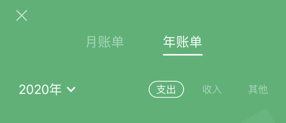 鹤城苹果手机维修分享如何在 iPhone 上查看支付宝和微信年支出账单 