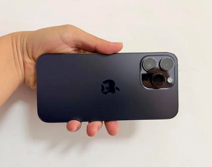 鹤城苹果维修点分享iPhone 14 Pro Max发烫多重诱因剖析 